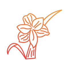 Fototapeta premium Amaryllis Icon