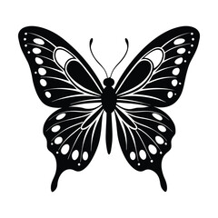 Detailed Butterfly Nature Vector Illustration