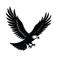 Eagle Soaring Wildlife Vector Illustration