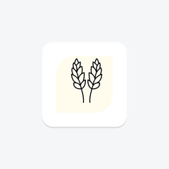 Paddy In Bloom, vector, pixel perfect, illustrator file