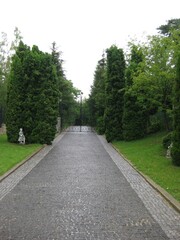 road in the park