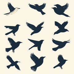 Collection Of Stylized Bird Silhouettes Flying In Different Poses On Light Background For Graphic Design