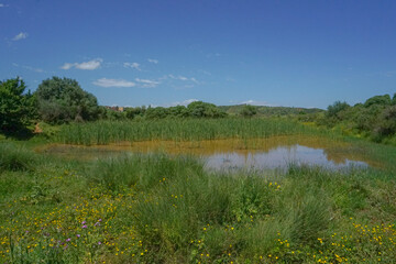 Beautiful spring nature background