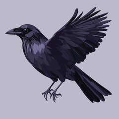 Dark Raven In Flight Vector Illustration Isolated On Soft Background Detailed Crow Artwork For Graphic Design Projects