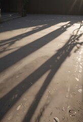 Dappled light and shadow effects for digital images,  photo design,  nature texture