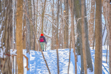 雪道を進む登山者（シュミの森）