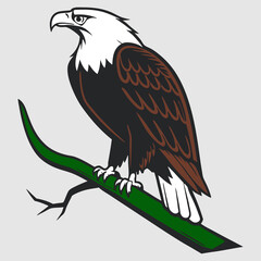 Eagle vector