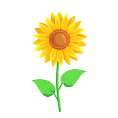 "Minimalistic and Realistic Nature-Inspired Vector Illustrations | High-Quality Botanical and Object Designs"