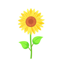 "Minimalistic and Realistic Nature-Inspired Vector Illustrations | High-Quality Botanical and Object Designs"