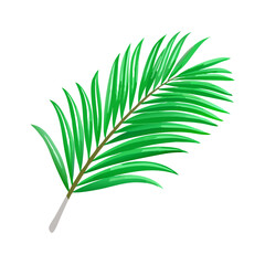 "Minimalistic and Realistic Nature-Inspired Vector Illustrations | High-Quality Botanical and Object Designs"