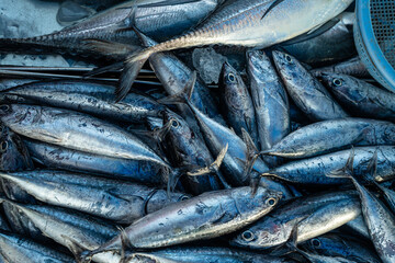 Background of various school of tuna fish sell in traditional fishery market Thailand