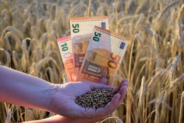money wages in hands field