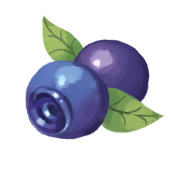 Blueberry with leaves - trasparent background for design purpose