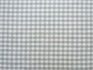Mint color, Small check cotton fabric