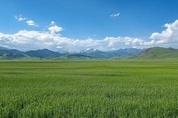 Fototapeta premium Vast green field stretches to distant mountains under a clear sky