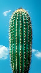 Naklejka premium Close-up view of a vibrant green cactus against a vibrant sky.