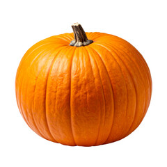 Obraz premium Plump Pumpkin, Isolated transparent background png.