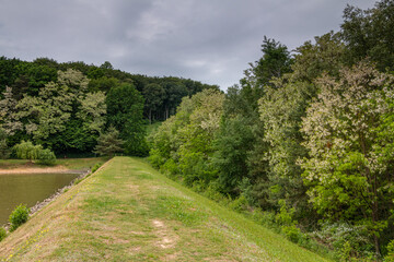 grassy dam path between lake and forest