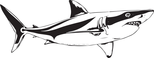 vector illustration of a black  shark
