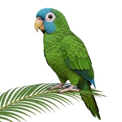Green Parrot Perched on Palm Leaf
