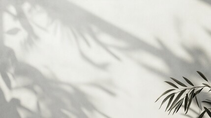 Smooth light wall with faint, blurred plant shadows adding depth, serene and elegant minimalist atmosphere. 