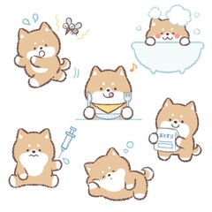 柴犬バリエーションセット