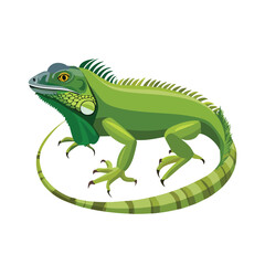 Obraz premium Green Iguana Vector Illustration with Flat Design, Clean Line Art, and Modern Minimalist AestheticArt.