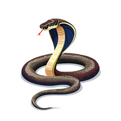 King Cobra Vector Illustration with Flat Design, Clean Line Art, and Modern Minimalist AestheticArt.