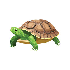 Obraz premium Sulcata Tortoise Vector Illustration with Flat Design, Clean Line Art, and Modern Minimalist AestheticArt.
