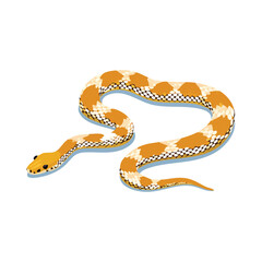 Western Hognose Snake Vector Illustration with Flat Design, Clean Line Art, and Modern Minimalist AestheticArt.