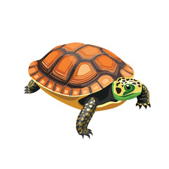 Fototapeta premium Eastern Box Turtle Vector Illustration with Flat Design, Clean Line Art, and Modern Minimalist AestheticArt.