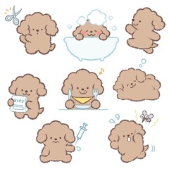 トイプードルバリエーションセット