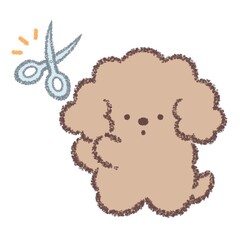 カットするトイプードル