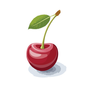 red cherry with green leaf clip art preview