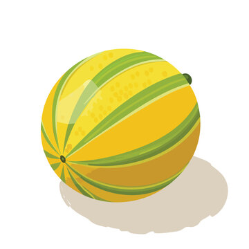 recommend clip art: Honeydew Melon Vector Illustration with Flat Design, Clean Line Art, and Modern Minimalist AestheticArt.