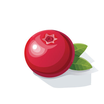 red cranberry with green leaves clip art preview