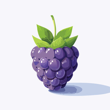 purple blackberry with green leaves clip art preview