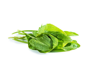 Fresh sorrel leaves isolated on white background.