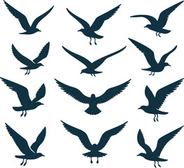 Set of seagull silhouette vectors