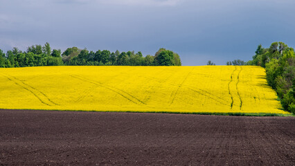 A plowed field and a field of flowering rapeseed against a blue sky.