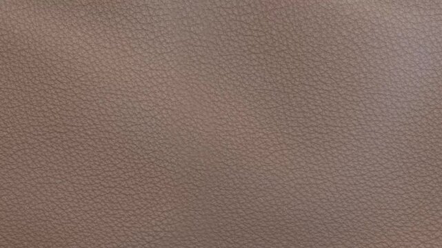 lether waving animated video 