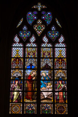 Window of Tongeren My Lady Cathedral