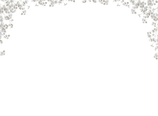 Pink baby's breath flower png. Gypsophila pink white floral design isolated on transparent background Flower frame png. empty space for text. For wedding invitations, floral branding, memorial cards.