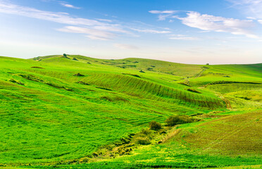 green spring hills with young grass and amazing growing fields and hills with beautiful bright cloudy sunset on background of rural landscape
