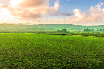 green orange gardens on a natural summer landscape with beautiful fruit trees and sunset sky on background