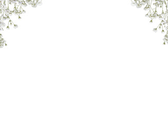 Pink baby's breath flower png. Gypsophila pink white floral design isolated on transparent background Flower frame png. empty space for text. For wedding invitations, floral branding, memorial cards.