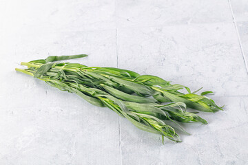 Fresh green estragon aroma stem