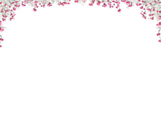 Pink baby's breath flower png. Gypsophila pink white floral design isolated on transparent background Flower frame png. empty space for text. For wedding invitations, floral branding, memorial cards.