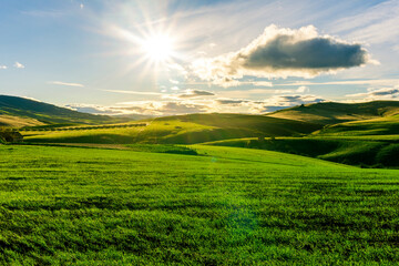 Obraz premium valley view in a green shiny field with green grass and golden sun rays, deep blue cloudy sky on a background , green rural hills in spring young season