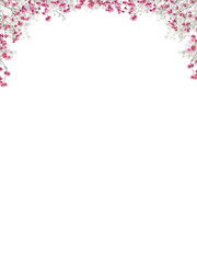 Pink baby's breath flower png. Gypsophila pink white floral design isolated on transparent background Flower frame png. empty space for text. For wedding invitations, floral branding, memorial cards.
